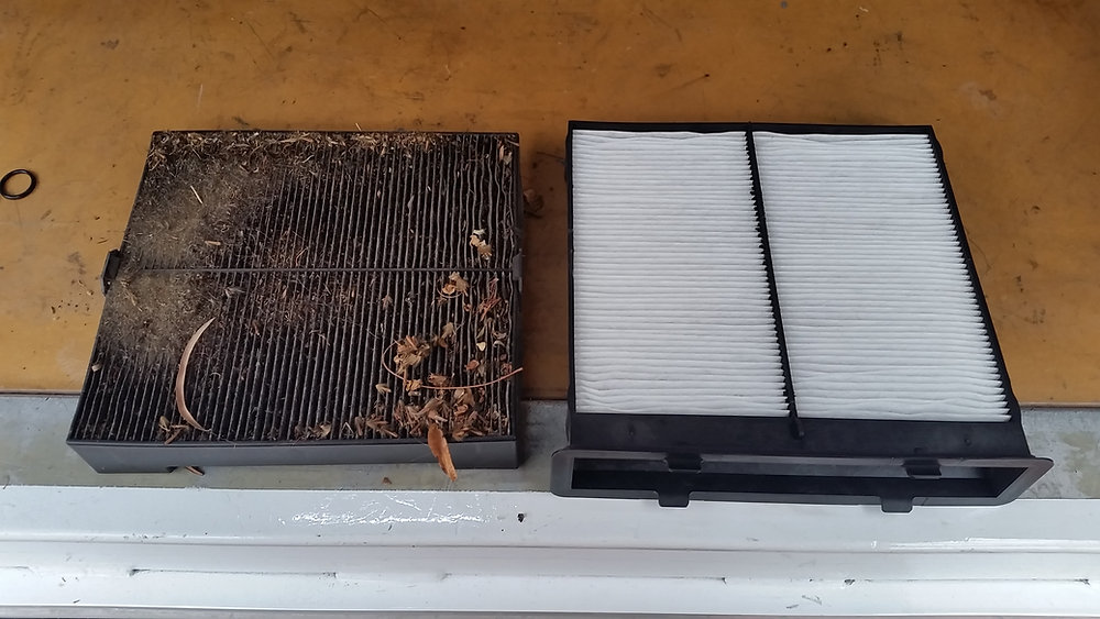 Cabin Air Filter and Premium Regas Service